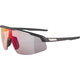 Okulary ALPINA TURBO PRO QV...