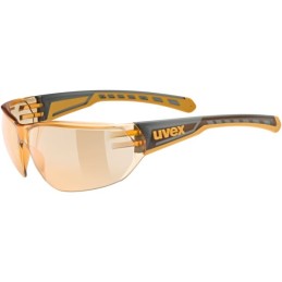 Okulary UVEX Equate...