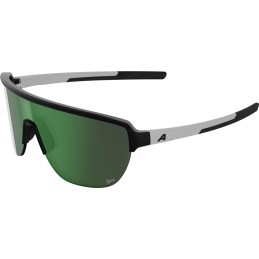 Okulary ALPINA RAM 2.0...