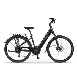 Rower ECOBIKE LX100 17...