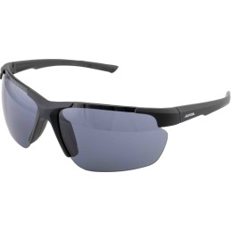 Okulary ALPINA DEFEY HR...